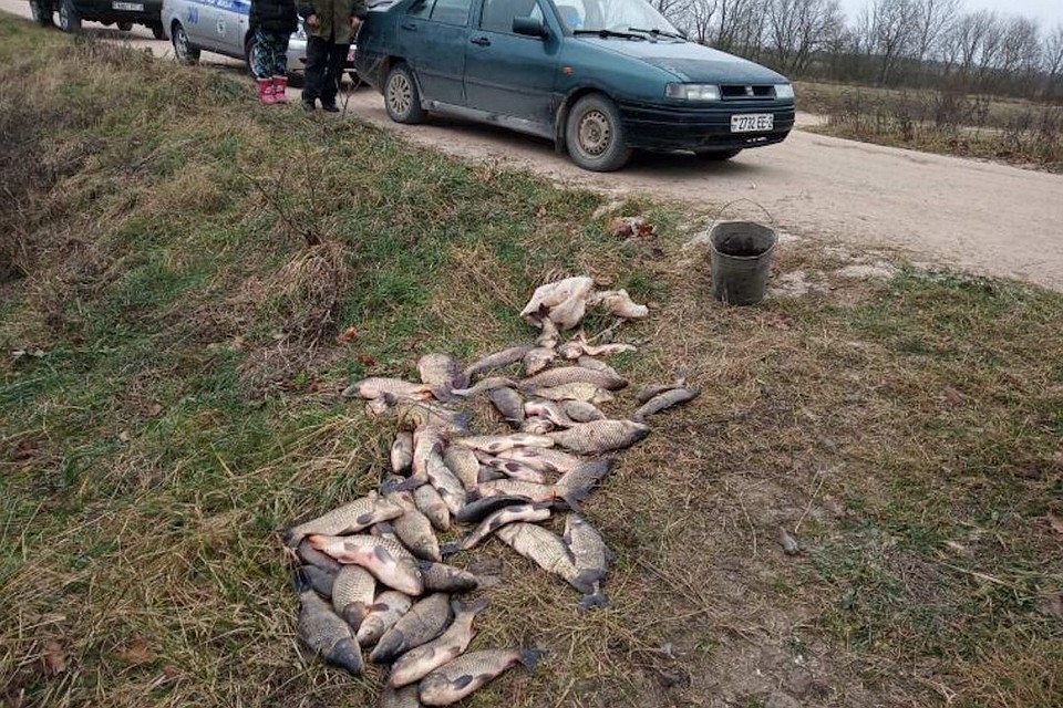 Фото: ГАИ Витебской области