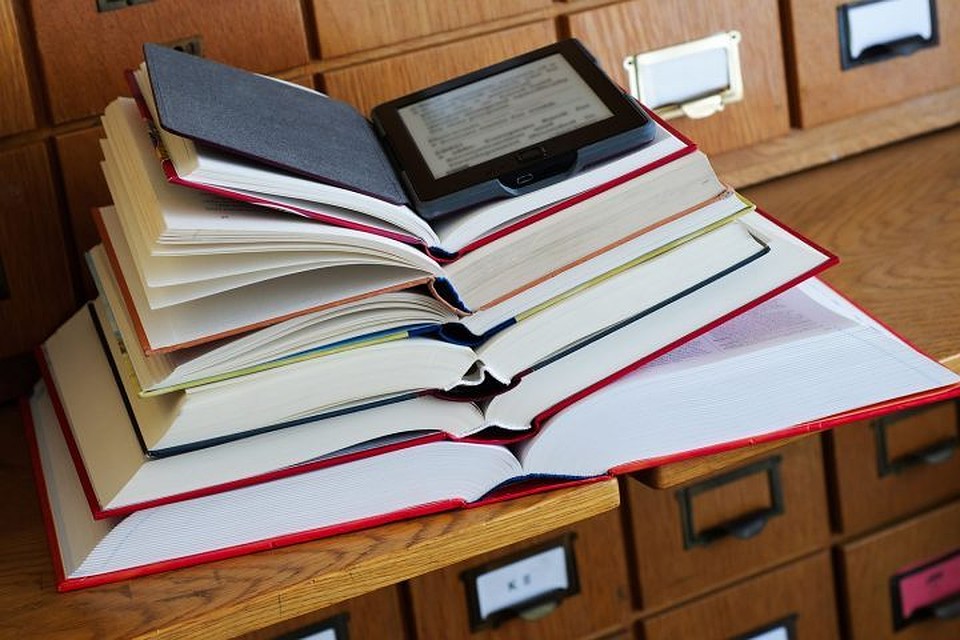 Электронные книги в Петербурге: горожане ищут дверь в лето.