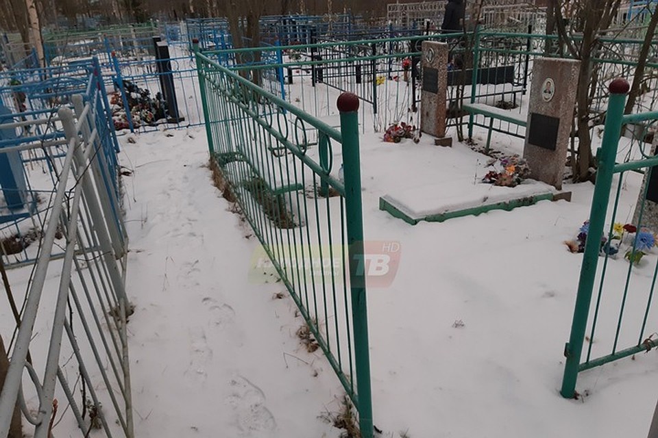 Меж двух зеленых столбиков с темными "куполами" явно чего-то не хватает. Здесь должна быть калитка, украденная вандалами и, видимо, сплавленная за бесценок на цветмет. Фото: vk.com/narodnoetvx