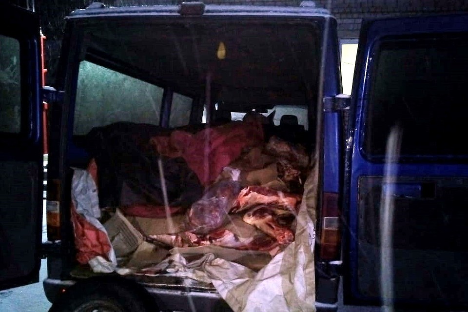 Хоть на улице есть небольшой мороз, но мясо все равно надо перевозить в холодильной установке.