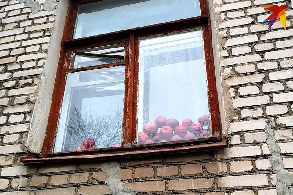 Так яблоки лучше сохраняются.