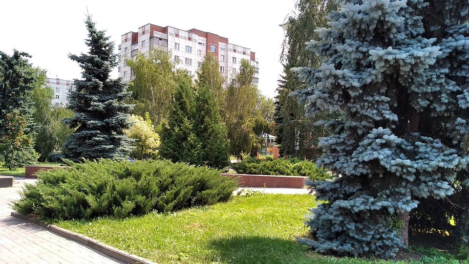 Среди городов лидирует Курчатов