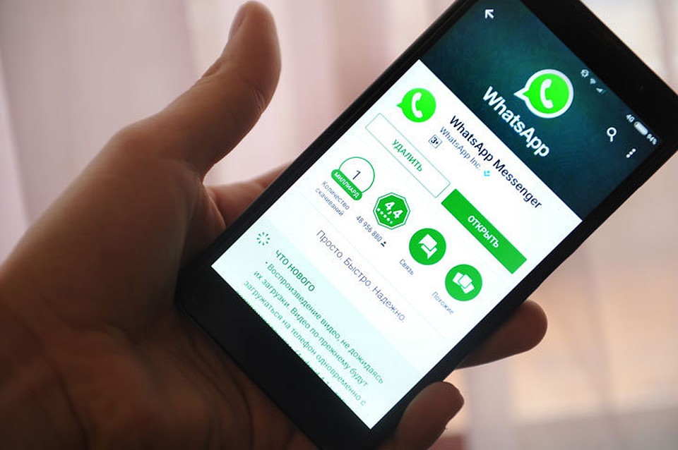 Ложное сообщение пользователи пересылают друг другу по WhatsApp.