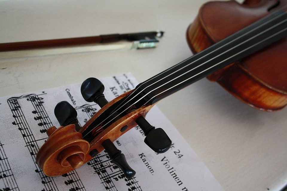 Фото: pixabay.com