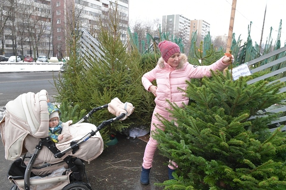 Всего в городе будут работать 15 базаров.