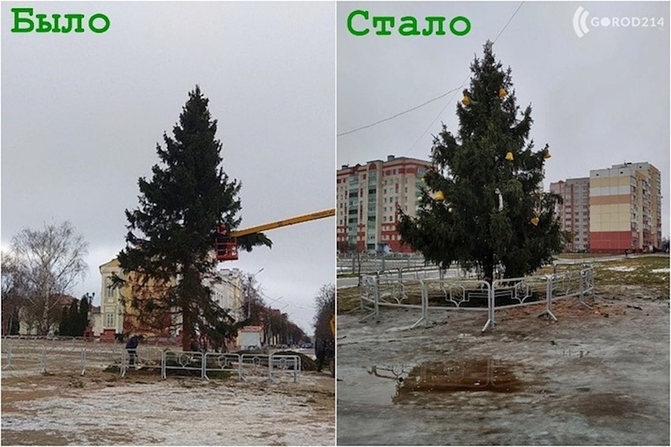 В Полоцке пришлось поменять главную новогоднюю елку. Фото с сайта gorod214.by