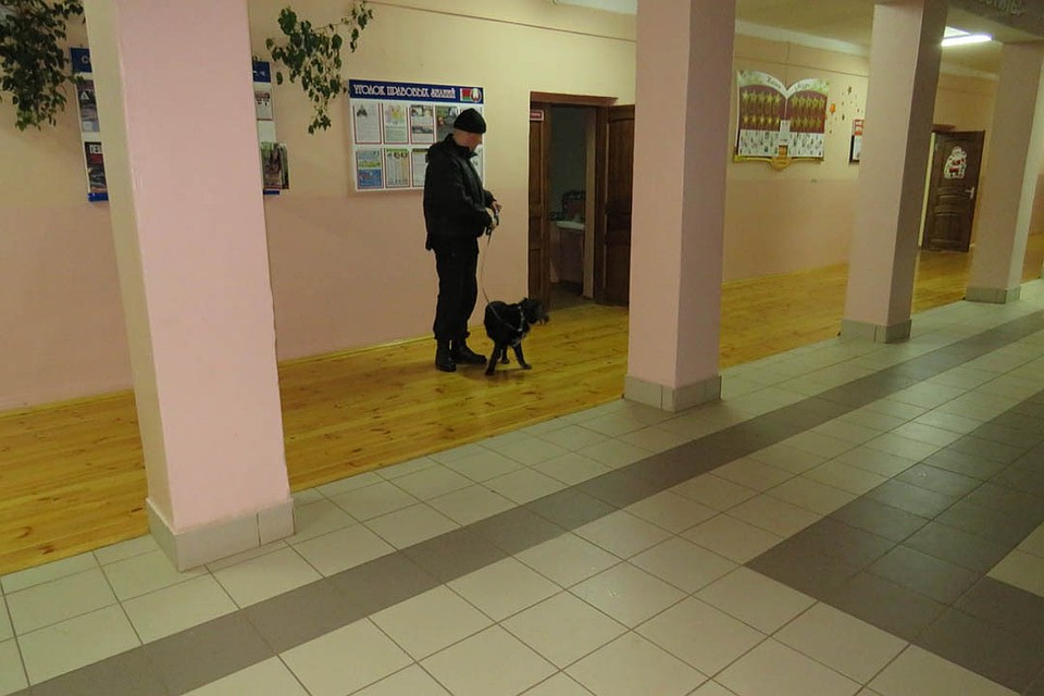 Школу обыскали с собаками. Фото: УВД Могилевского облисполкома