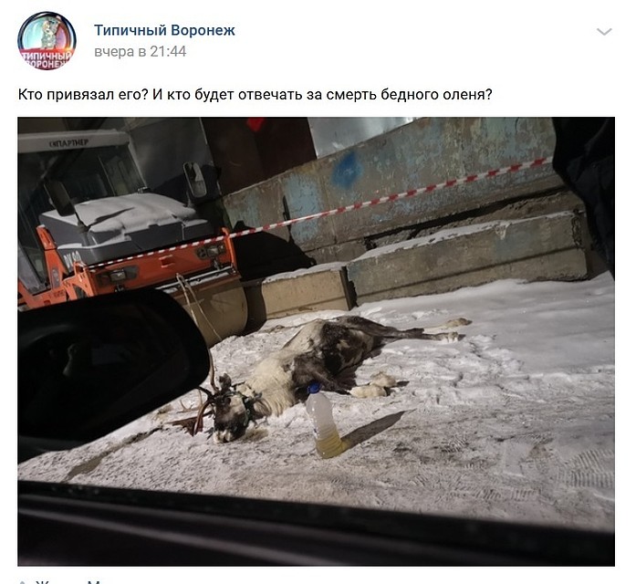 Скриншот поста в "Типичном Воронеже"