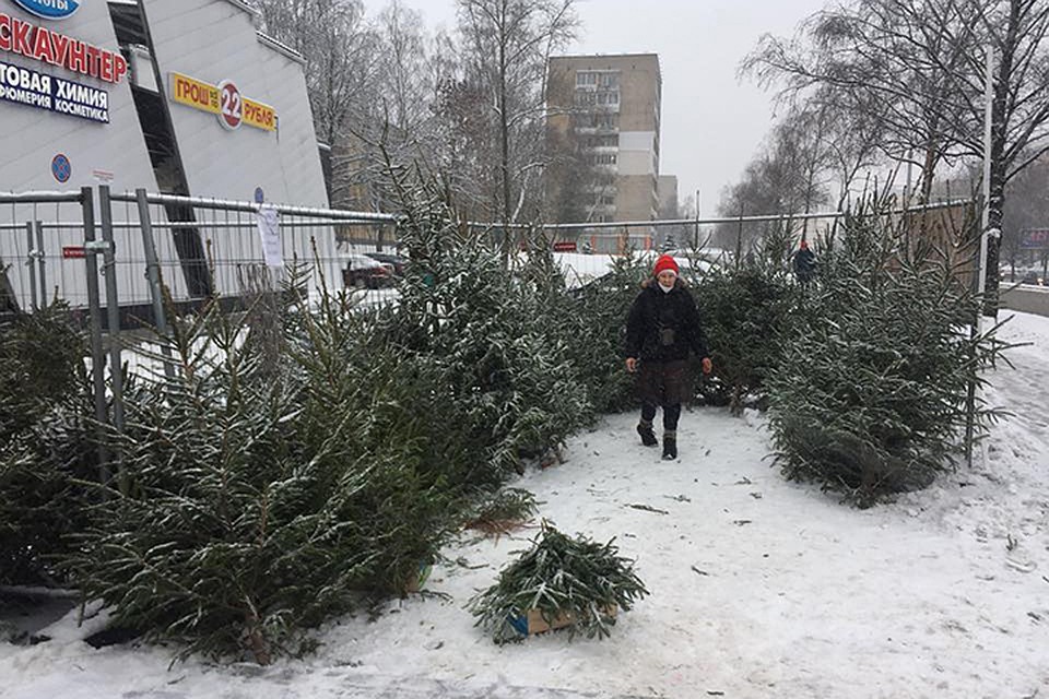 В Минске начали работу елочные базары.