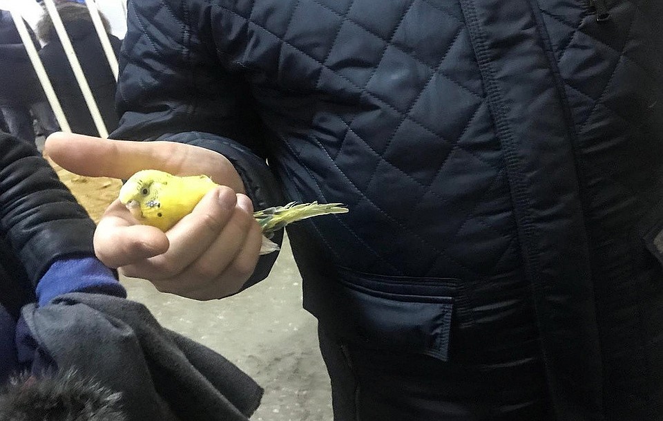 Фото: пресс-служба мэрии Магнитогорска.