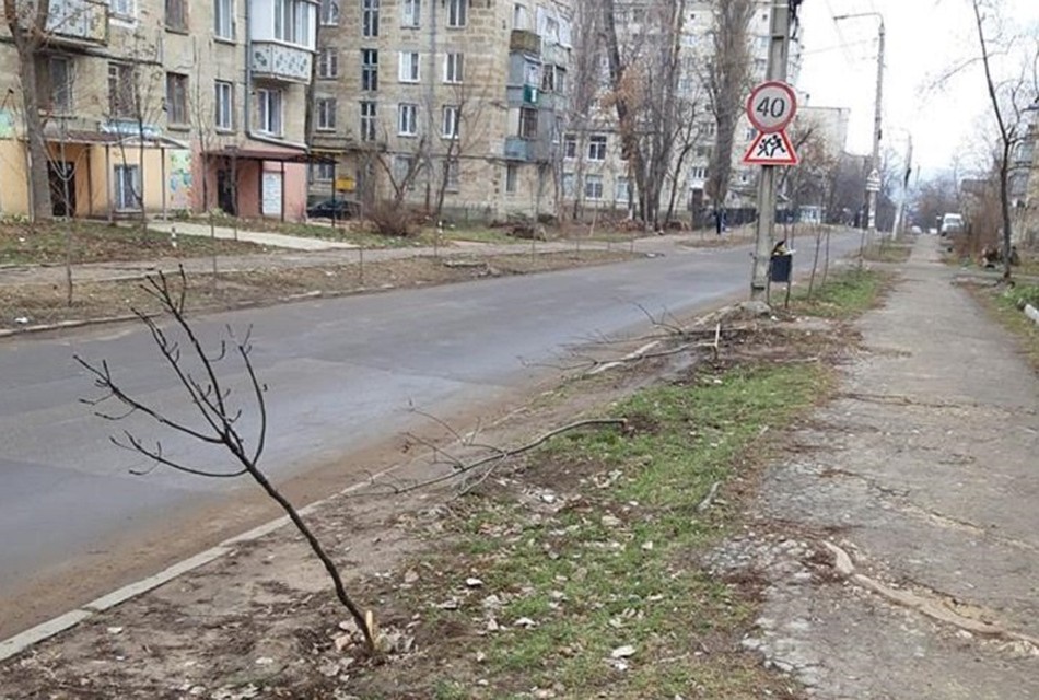 Вот так сейчас выглядит "алея". Фото: Андрей Березиков/фэйсбук/группа ГБМ