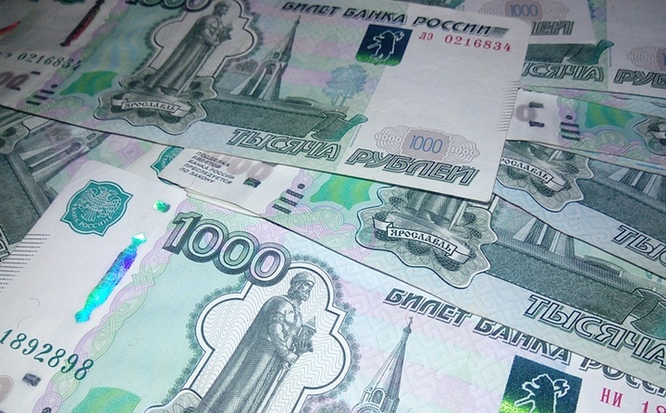 Жительница Барнаула потеряла 60 тысяч рублей при продаже котят