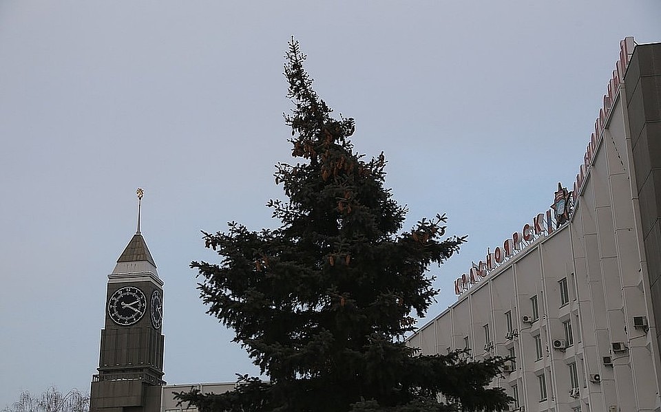 Власти Красноярска обновили сайт администрации