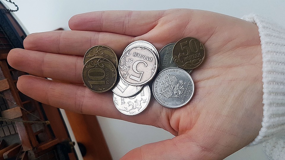 47,5 рубля - мера поддержки многодетной семьи