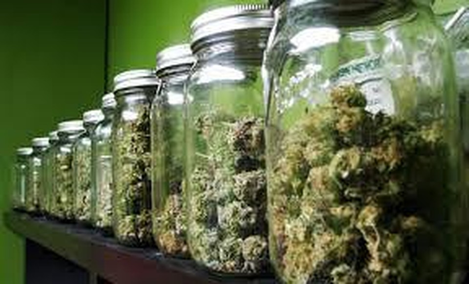 Фото: https://cannabis-indoor.ne