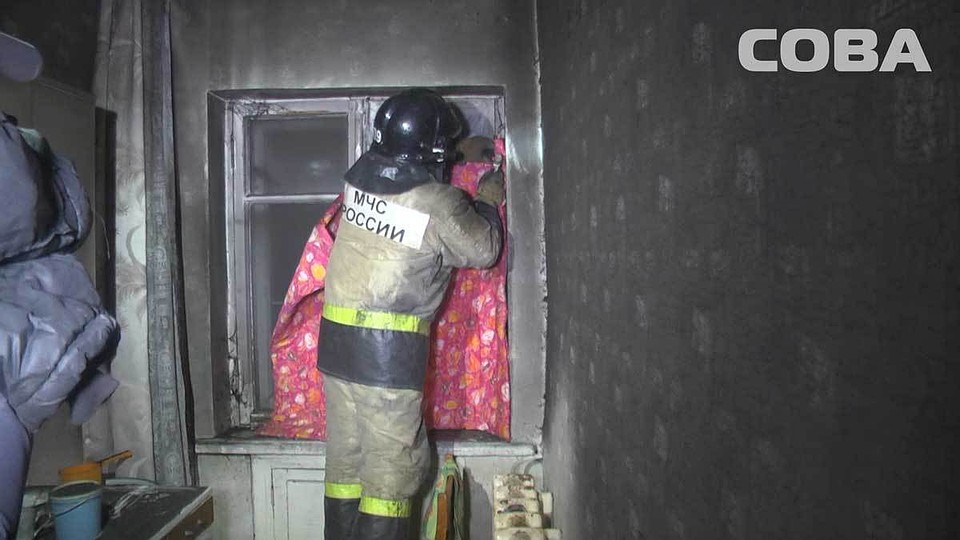 Фото: служба спасения "Сова"