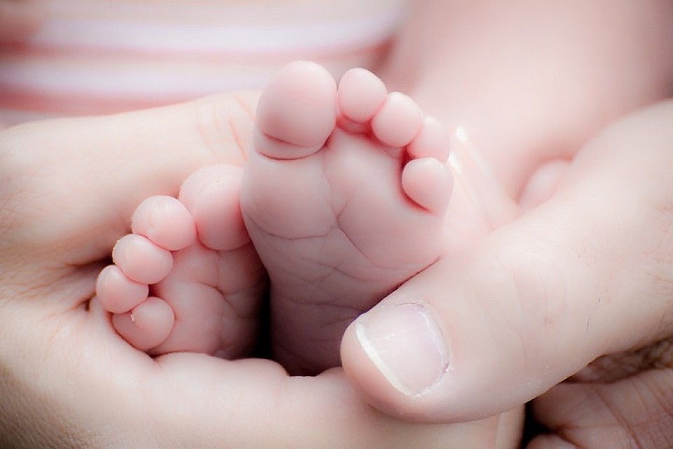 Фото: pixabay.com
