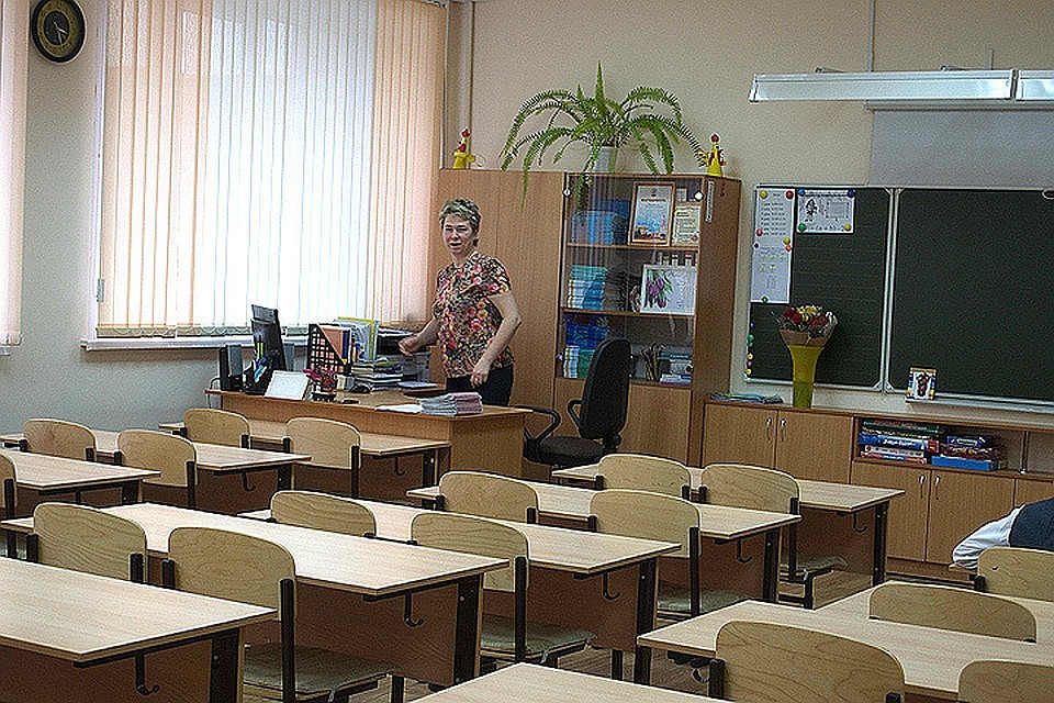 Комитет по образованию Петербурга проверит слова девочки о том, что ее избила учительница