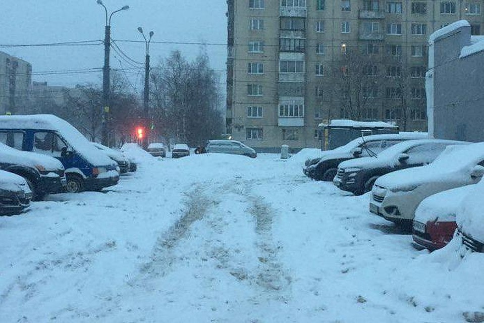 Александр Беглов обсудил уборку снега Фото: пресс-служба губернатора Петербурга