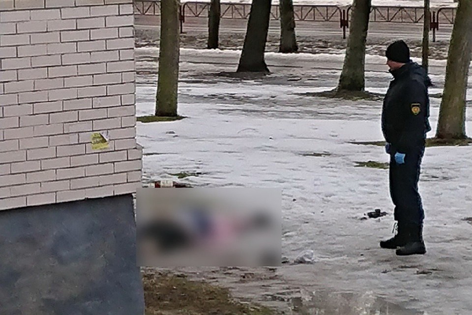В Гродно с 9-го этажа выпала женщина - она погибла. Фото сайта 015.by.