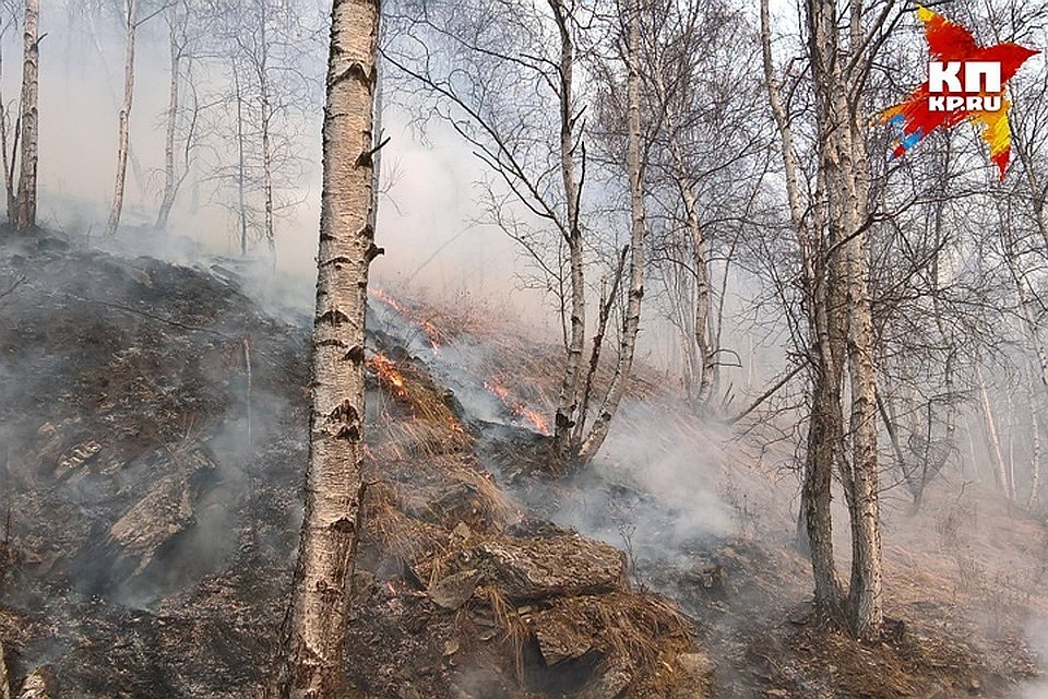 В Приморье потушены все лесные пожары, но особый противопожарный режим всё ещё в силе.