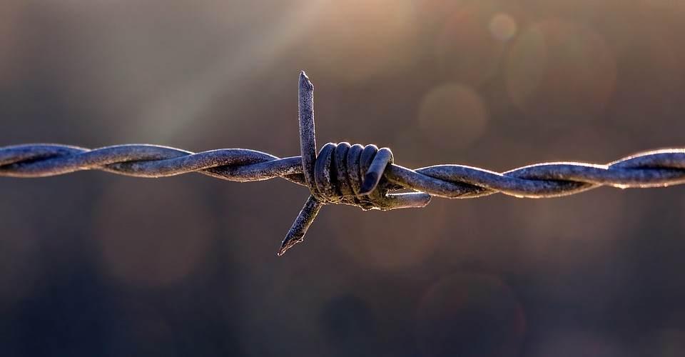 Фото: pixabay.com