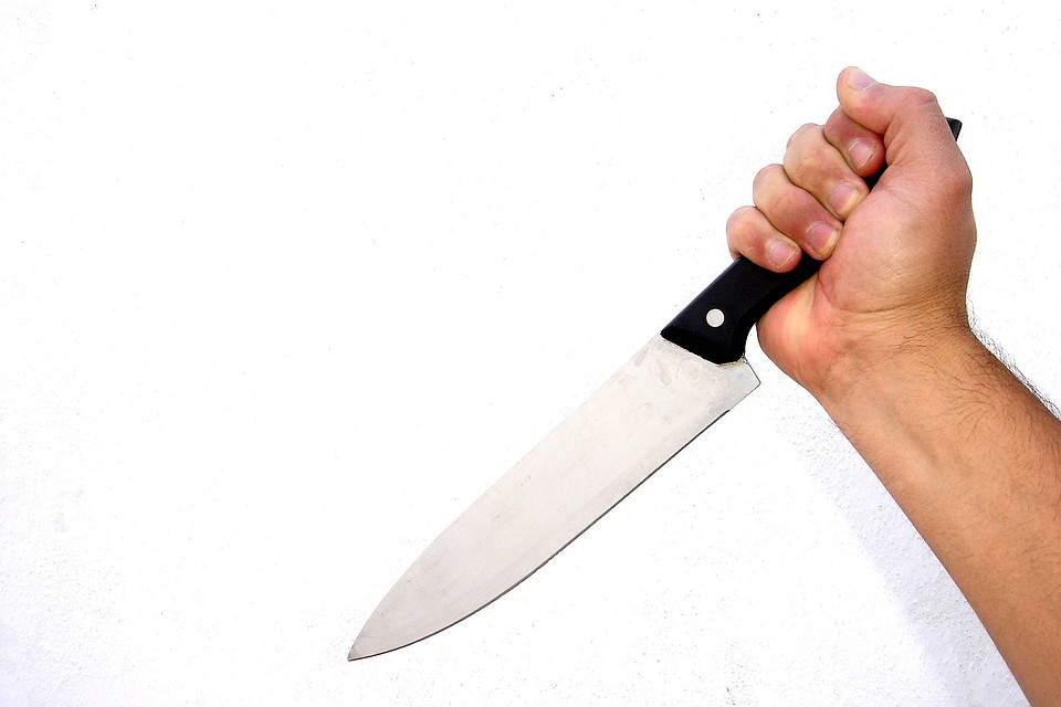 Фото: https://ru.freeimages.com/photo/knife-in-hand-2-1314424