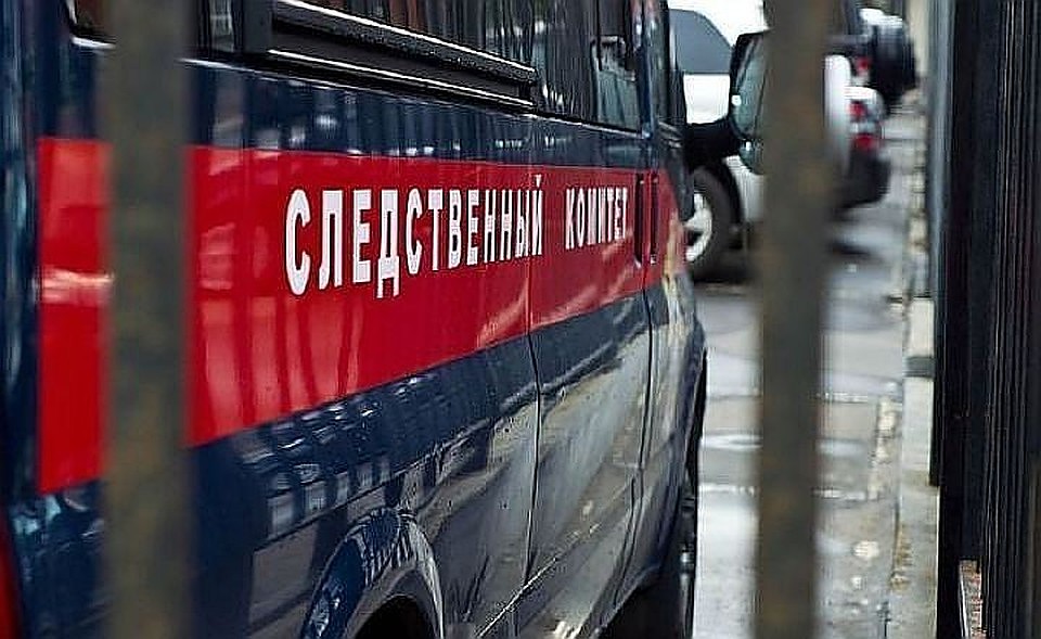Нижегородка пыталась продать семейной паре из Москвы чужого новорожденного ребенка за 300 тысяч рублей