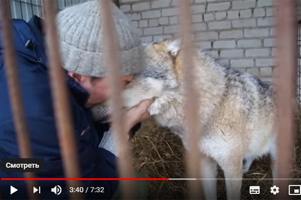 Фото: скриншот с видео youtube.com