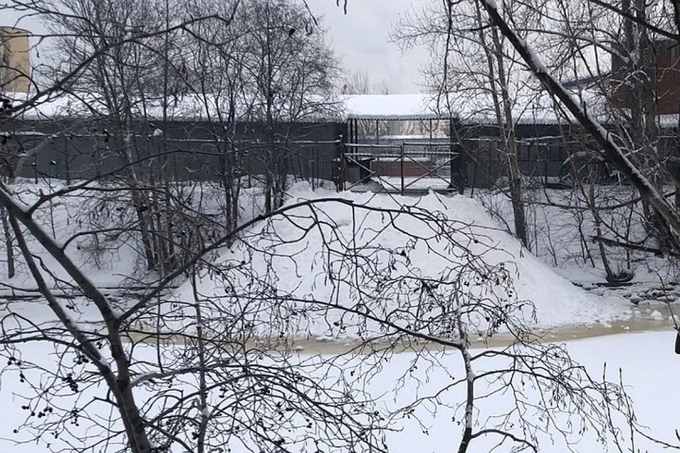 Росприроднадзор завел дело из-за сброса снега в Охту. Фото: Росприроднадзор