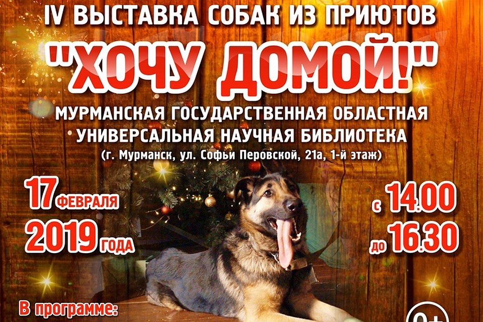 Выставка обещает быть насыщенной и интересной. Фото: Фонд помощи животным "Путеводная звезда"