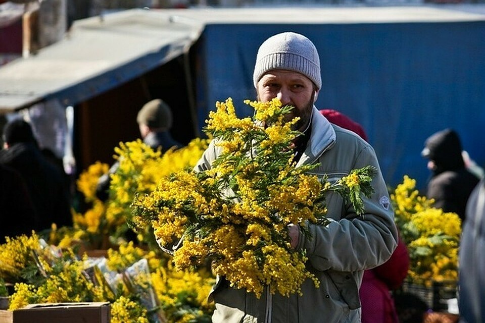 В Сочи из Абхазии начали ввозить мимозу