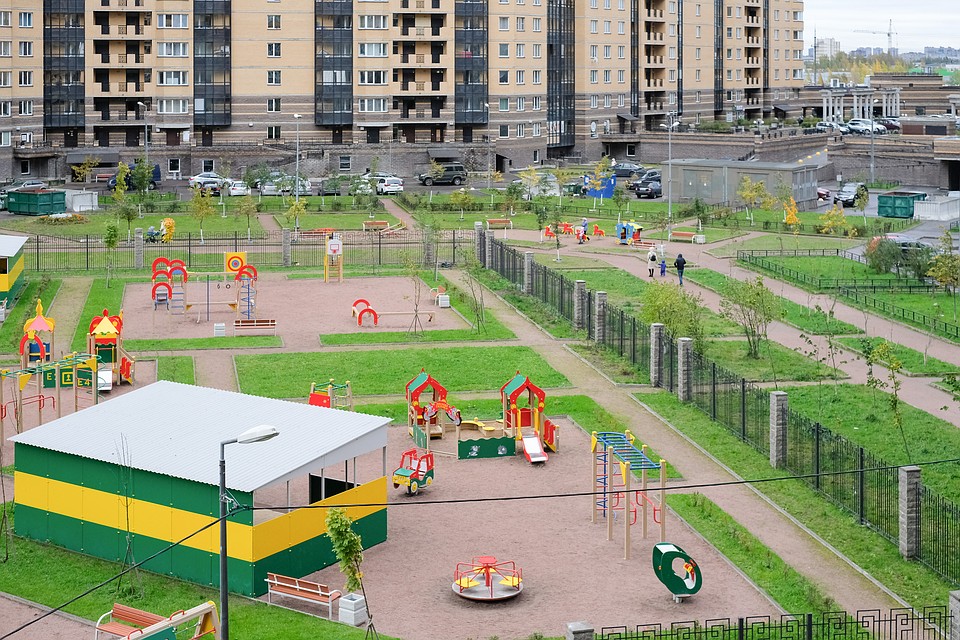 Все детсады, школы и больницы Петербурга занесут на единый портал