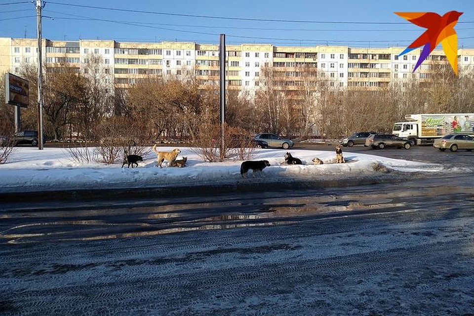 Температура днем поднимется до +4…+6 градусов.