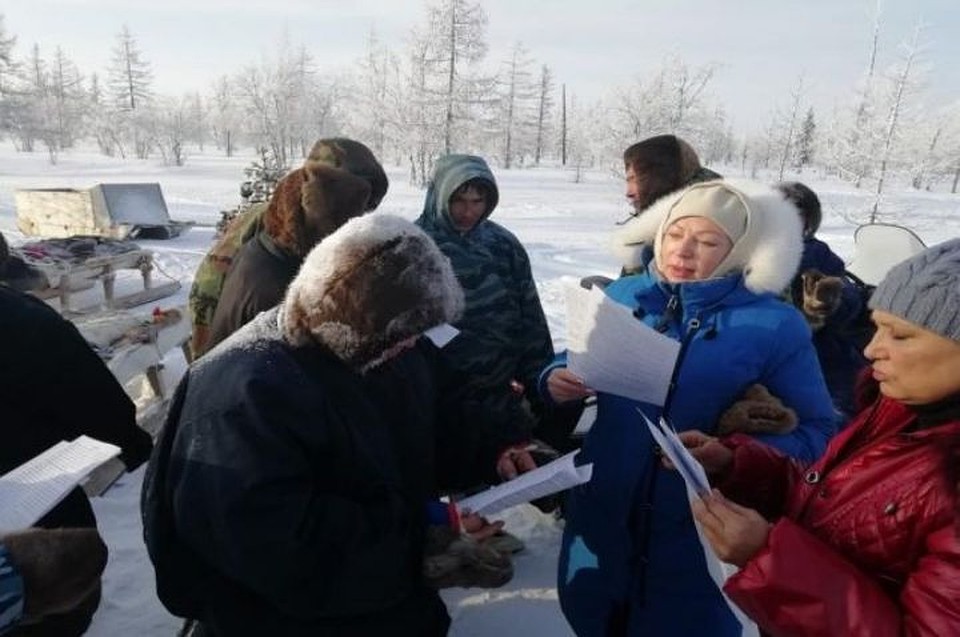 Три тысячи ямальских тундровиков получат прививки против сибирской язвы. Фото из группы "Надым" в соцсети ВКонтакте