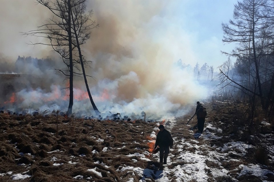 Около тысячи человек едва не лишились домов из-за сильного пожара в Хабаровском крае