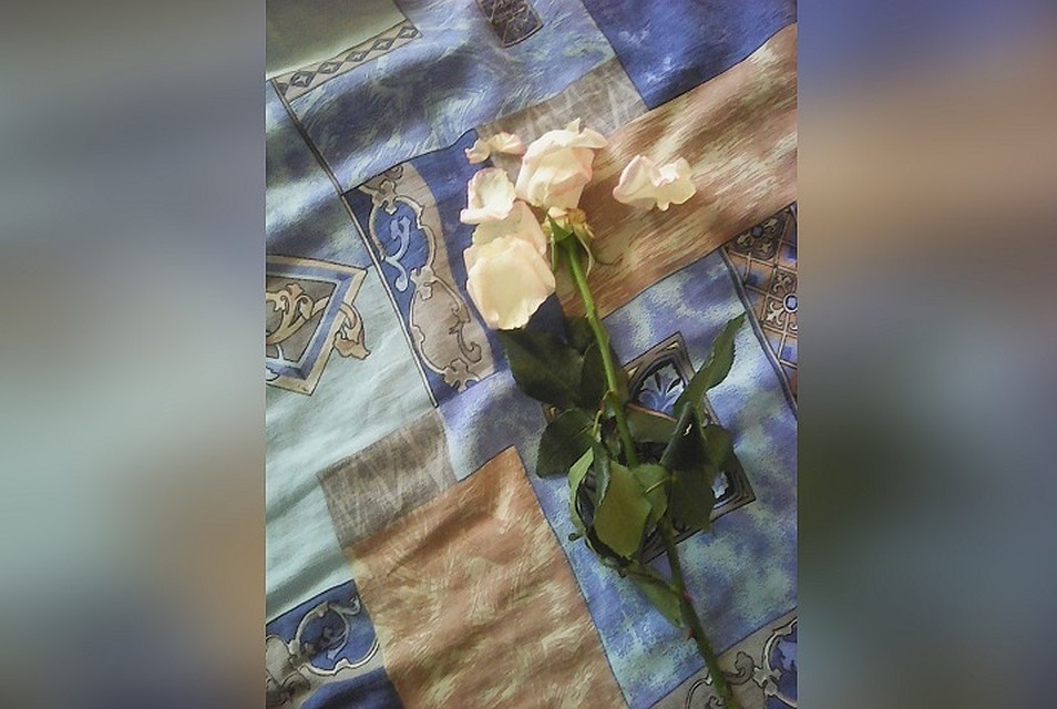 Сибирячка жалуется на недостойный цветочных сервис в городе. Фото: vk.com/revizorro_nsk54