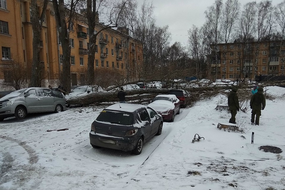 В городе произошли «аварии без участия водителей»: в качестве движущей силы выступил ветер. Фото: Сообщество «ДТП и ЧП | Санкт-Петербург» в «ВКонтакте»