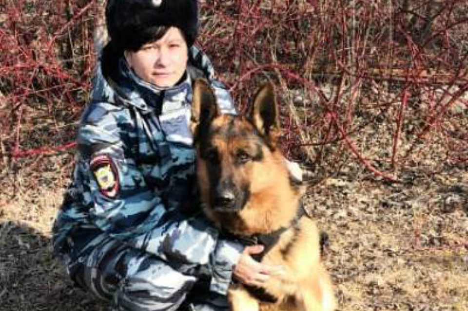 Пес по кличке Храброе сердце нашел логово вора в Хабаровском крае