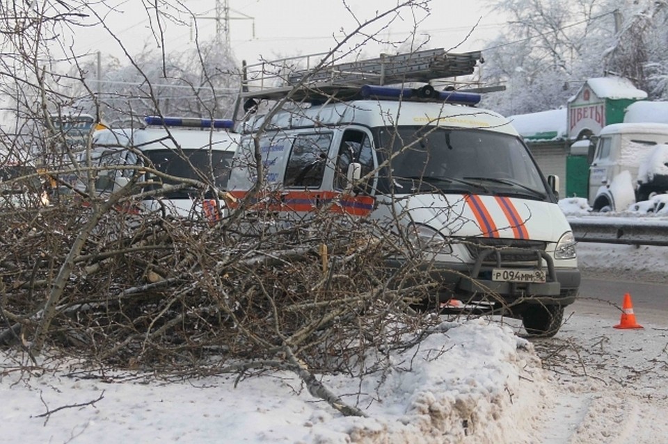 В Хабаровском крае за сбор валежника по-прежнему наказывают