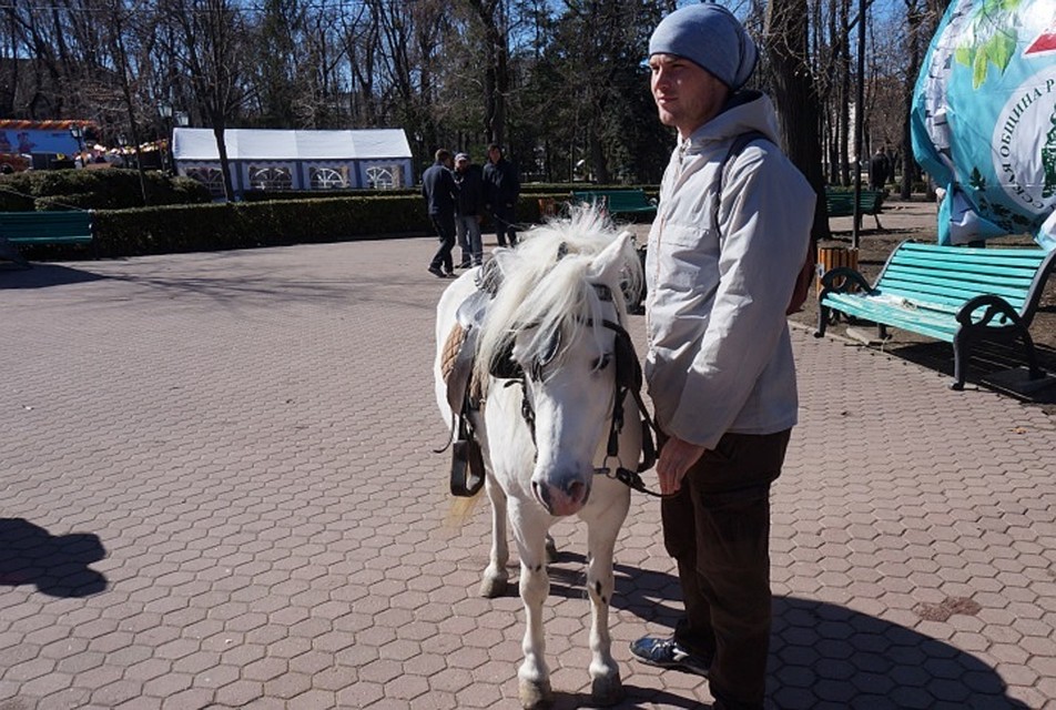 Погода завтра вполне подходит для прогулки по парку
