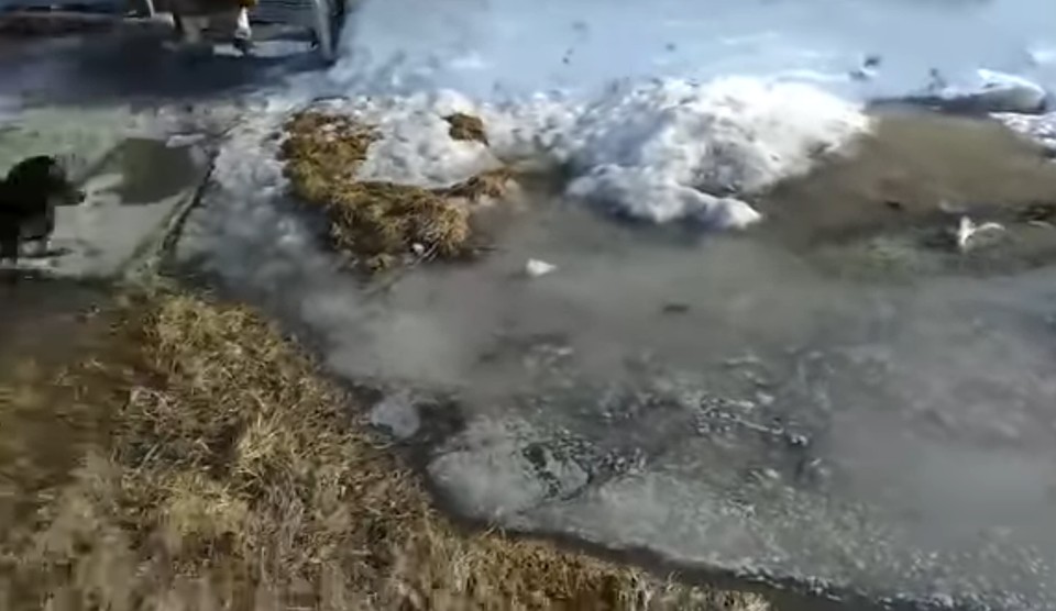Вода поднялась на 8-10 сантиметров от пола.