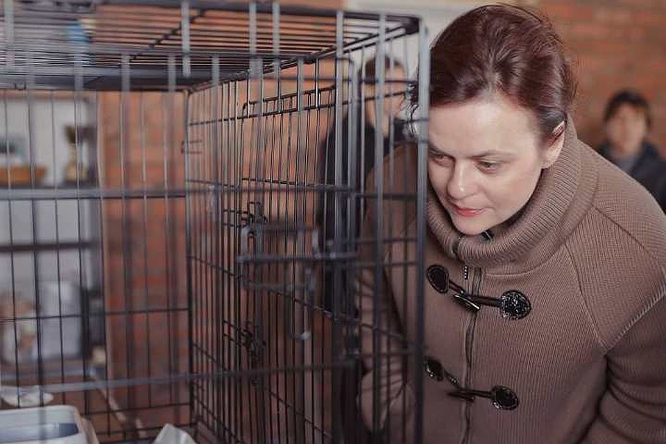 Анна Цивилева пообещала помощь приютам со стороны Совета по попечительству. ФОто: Instagram.