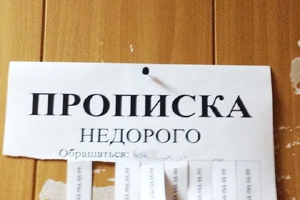 Нашиз сограждан россиянин прописывал незаконно (Фото: kpravda.ru).