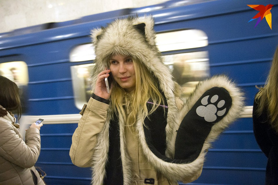 Ближайший месяц некоторые входы-выходы минского метро будут закрыты, направляйте свои лапки у нужную сторону.
