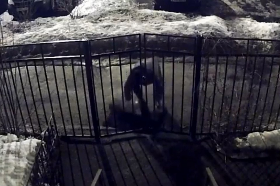 В Ярославле мужчина украл чужой коврик. Фото: стоп-кадр с видео Mete0ra MY.