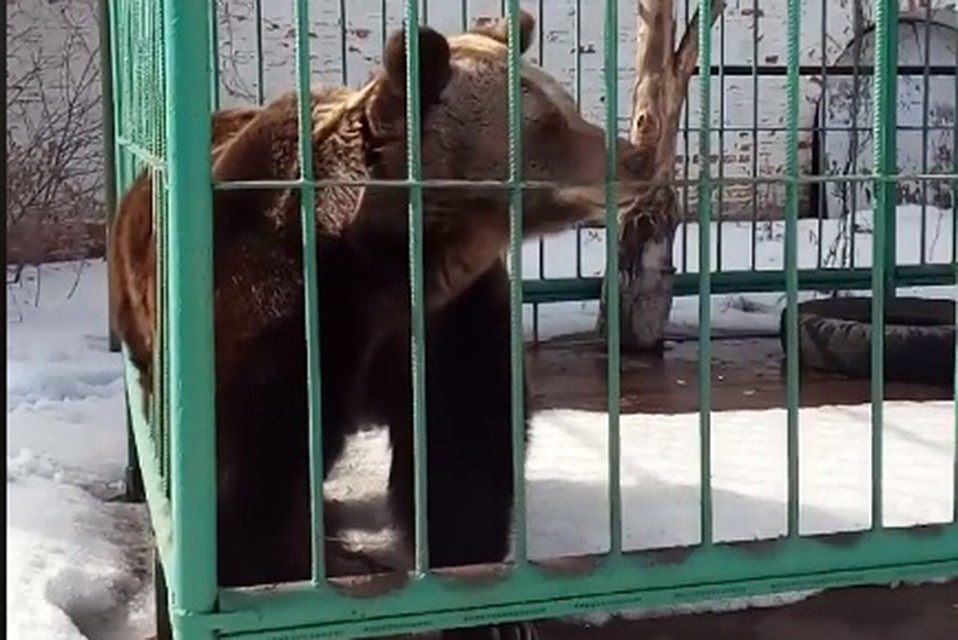 Фото: Ярославский музей-заповедник / facebook.com