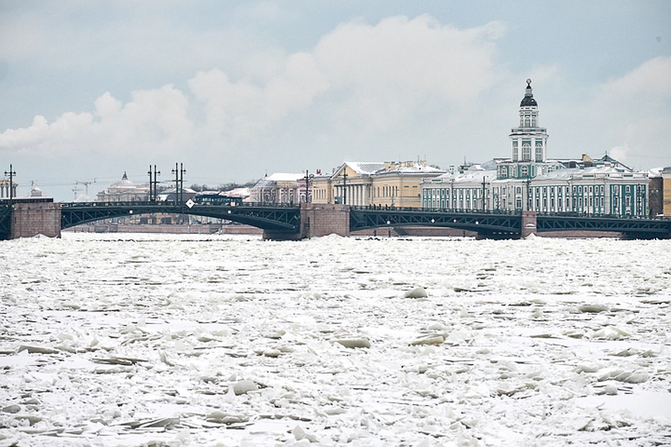 Смелые петербуржцы спасли тонущего в проруби на Фонтанке человека