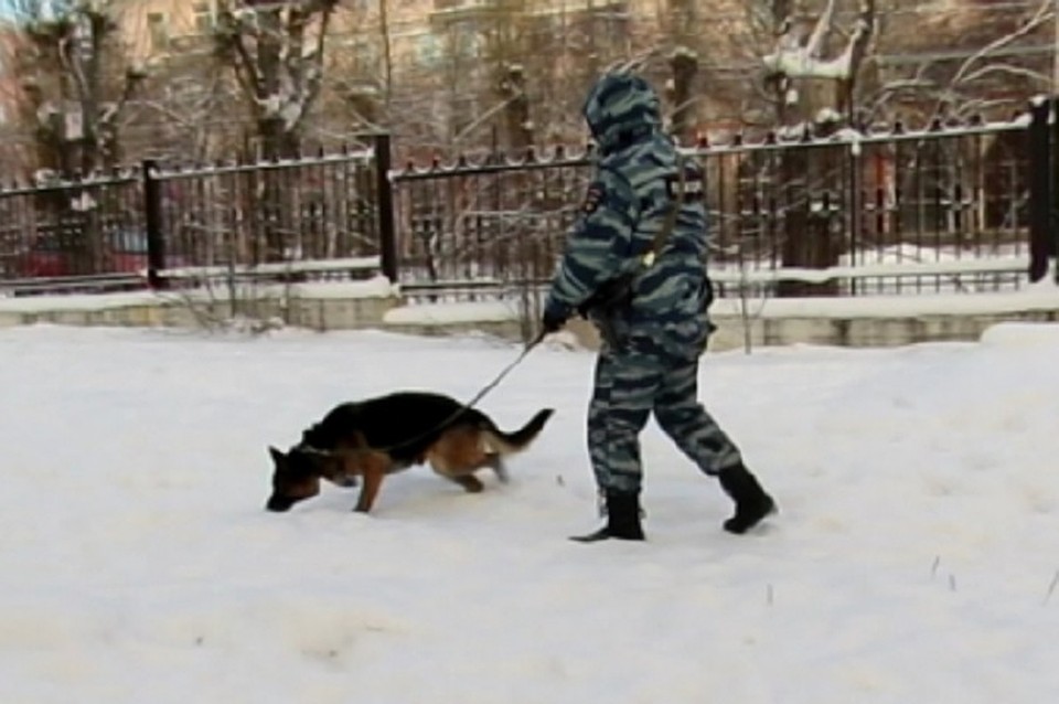 Фото: МО МВД «Серовский»