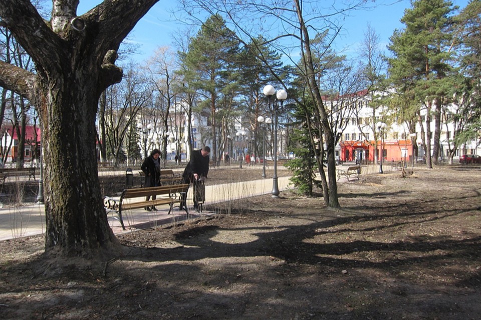 Фото: пресс-служба Брянской городской администрации.